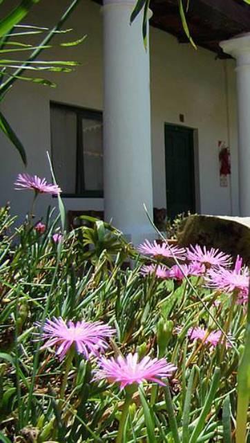 Lo De Penalba Bed & Breakfast Cafayate Luaran gambar